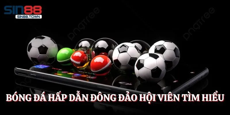 Bóng đá hấp dẫn đông đảo hội viên tìm hiểu